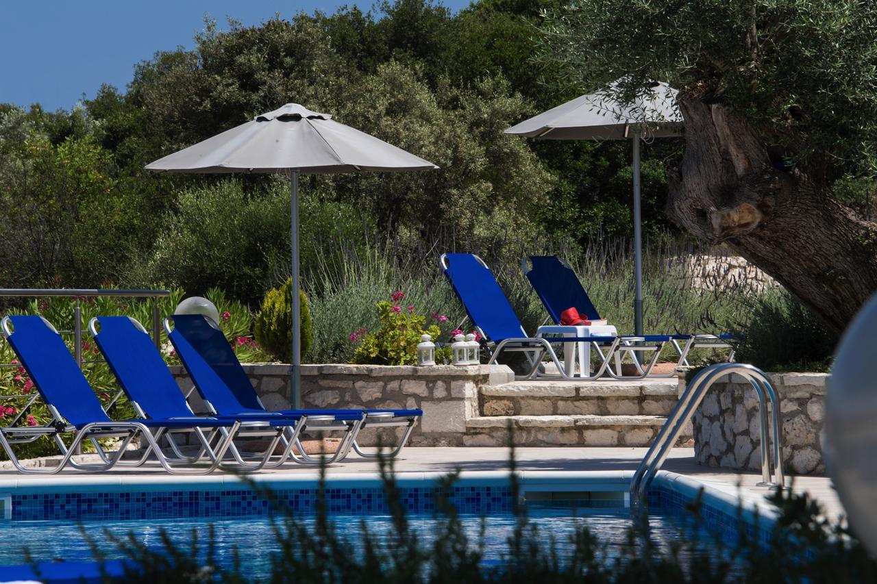 Villas Amantea- Four Villas With Big Pool And Infinity Pool Sivota  Exterior photo